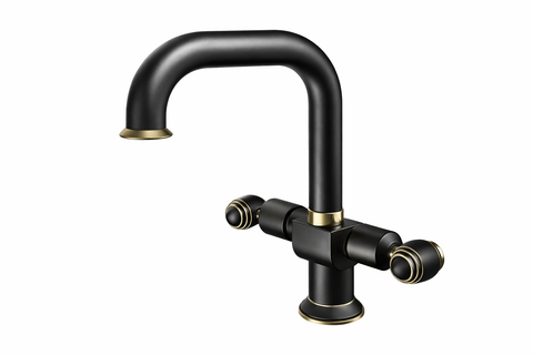Cisal - Nirvana - Duplex Spout Basin Mixer